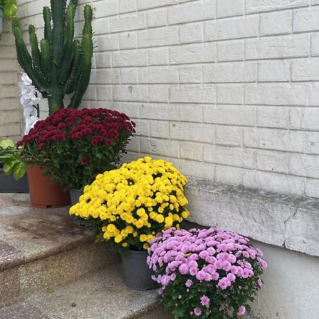 Maisonnette Au Calme Proche T2 La Garenne-Colombes Dış mekan fotoğraf